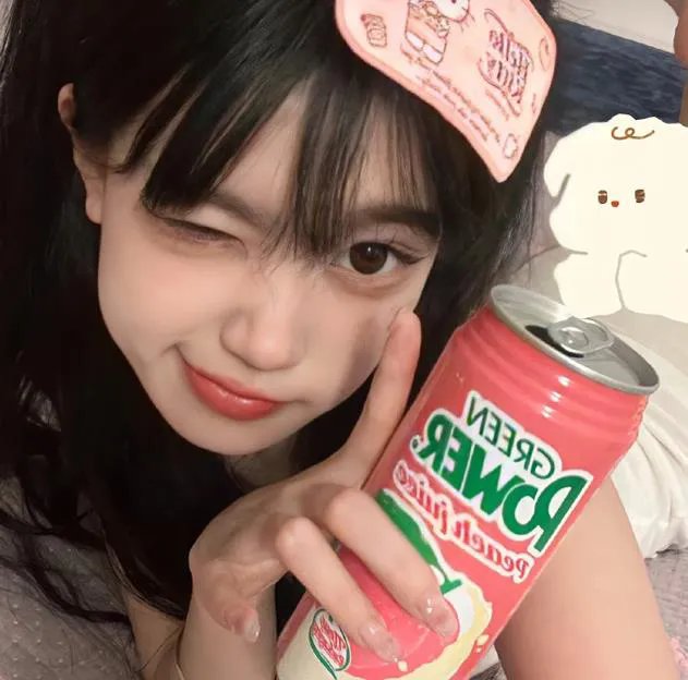 大宋有奇案