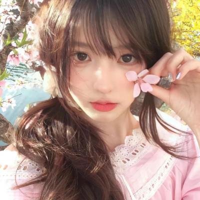 暴力特区